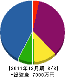 櫻田商店 貸借対照表 2011年12月期
