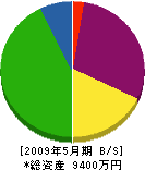 平嶋電気工事 貸借対照表 2009年5月期