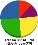ワカナ塗料産業 貸借対照表 2011年12月期