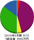 カシマ屋 貸借対照表 2010年6月期