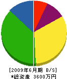 大橋通信商会 貸借対照表 2009年6月期