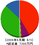 鈴木建設 貸借対照表 2008年6月期