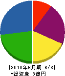 斎藤商事 貸借対照表 2010年6月期