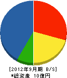松本組 貸借対照表 2012年9月期