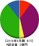 千葉緑化土木 貸借対照表 2010年8月期