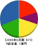 石井工務店 貸借対照表 2008年6月期