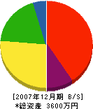 長崎造園 貸借対照表 2007年12月期