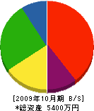 彦坂組 貸借対照表 2009年10月期