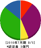 岩崎海事 貸借対照表 2010年7月期