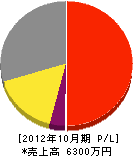 石川鉄工 損益計算書 2012年10月期