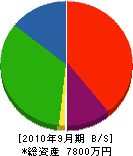 澤山電設 貸借対照表 2010年9月期