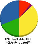 日本基礎技術 貸借対照表 2009年3月期
