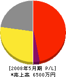 札幌ネットワークス 損益計算書 2008年5月期