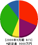 松井化成 貸借対照表 2008年9月期