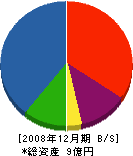 日中商事 貸借対照表 2008年12月期
