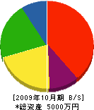 和歌山ガーデン 貸借対照表 2009年10月期