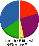 渡辺建設工業 貸借対照表 2012年5月期