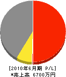 松本建設 損益計算書 2010年6月期