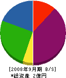 東川建設 貸借対照表 2008年9月期