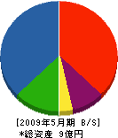 宮脇組 貸借対照表 2009年5月期