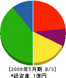 松栄建設 貸借対照表 2008年5月期