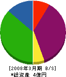竹中道路 貸借対照表 2008年3月期
