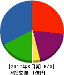 丸稲興業 貸借対照表 2012年6月期