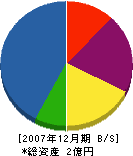 辻本組 貸借対照表 2007年12月期