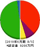 山栄総合開発 貸借対照表 2010年6月期