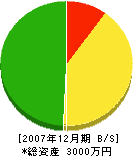 小宮山造園 貸借対照表 2007年12月期