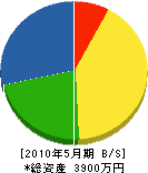 坂本電気商会 貸借対照表 2010年5月期