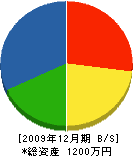建築工房ひろおか 貸借対照表 2009年12月期