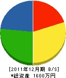 松本塗装工業 貸借対照表 2011年12月期