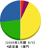新田中 貸借対照表 2008年3月期