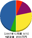 柿坂組 貸借対照表 2007年12月期