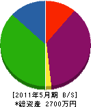 美間坂 貸借対照表 2011年5月期