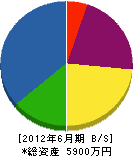 長岡電気 貸借対照表 2012年6月期