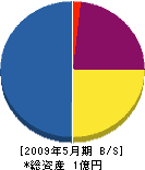 大昭和建設 貸借対照表 2009年5月期