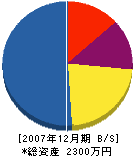 溝根電建 貸借対照表 2007年12月期