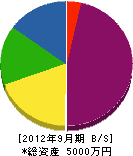 峰沢電機 貸借対照表 2012年9月期