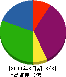 日本洗管 貸借対照表 2011年6月期