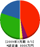 大山電気 貸借対照表 2009年3月期