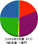 桜井建材 貸借対照表 2009年9月期 桜井建材 貸借対照表 2009年9月期