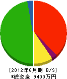 山栄総合開発 貸借対照表 2012年6月期