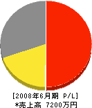 彩翔工業 損益計算書 2008年6月期