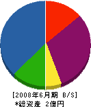 川原工業 貸借対照表 2008年6月期