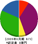 大崎ガスリビング 貸借対照表 2009年6月期