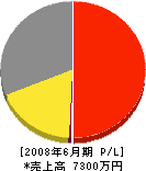 ヤスイ塗装店 損益計算書 2008年6月期