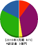 浅野工務店 貸借対照表 2010年3月期