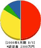 新井電気商会 貸借対照表 2008年6月期